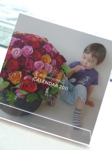 2011 Calendar Cover